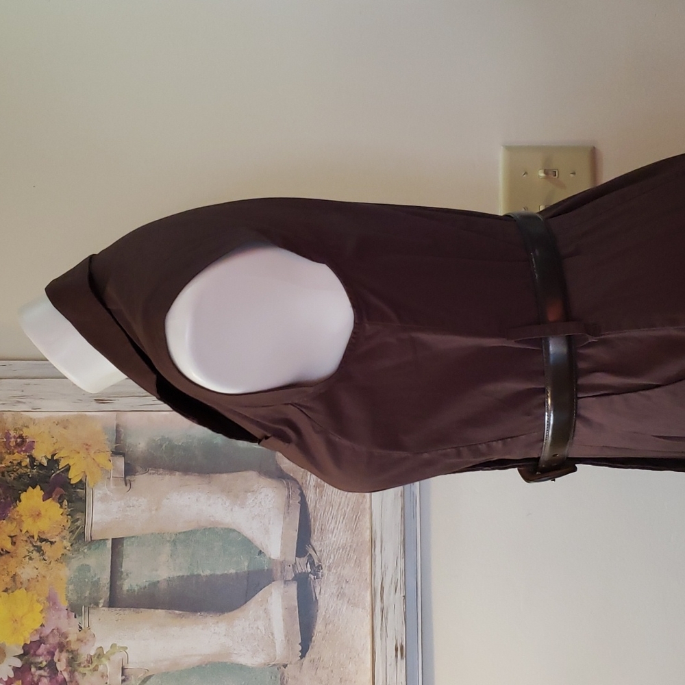 AGB Dress - Picture 7 of 11